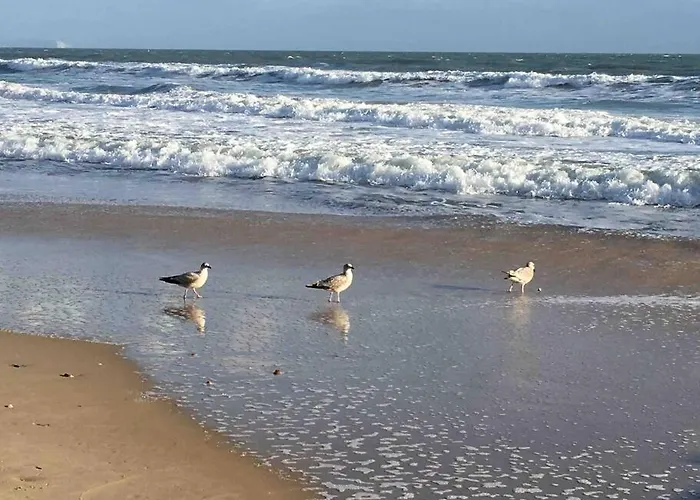 Bournemouth Cosy Retreat Apartment, United Kingdom